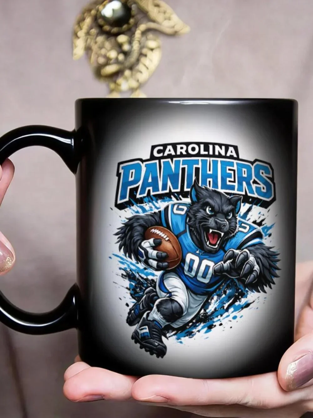 N/A carolina panthers